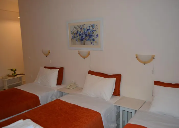 Hotel Lefka Ori - *